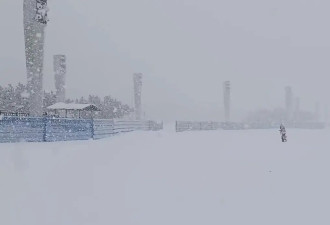 积雪超半米！烟台威海遭遇极端性冷流暴雪 已成“北极”