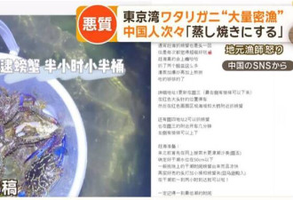 中国人擅闯东京湾偷捕捞大量梭子蟹 日渔民气炸！