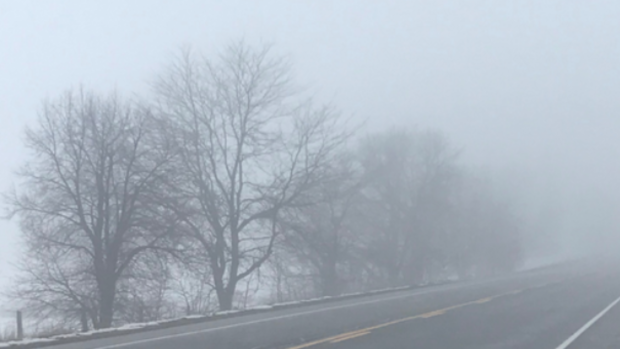 fog 
