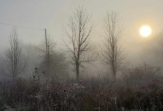 环境部警报：安省25地浓雾 多伦多能见度0 后5天雨雪混杂