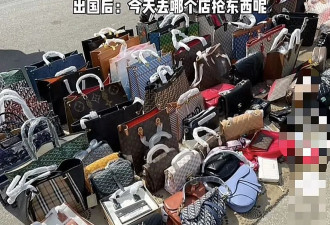 丢人！中国留学生集体“抢劫”，“盗”走15万后还炫耀……