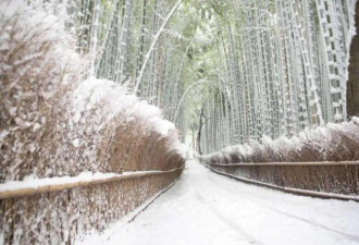 与北海道完全不一样 日本京都超美赏雪地7选