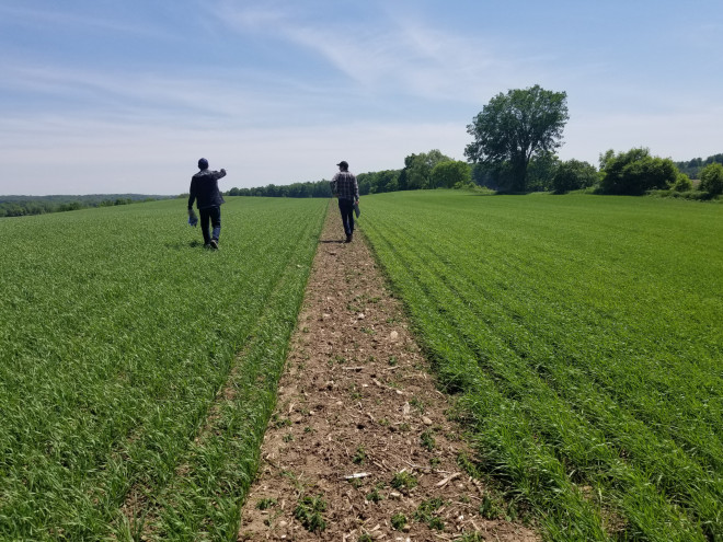 People walking in a field.