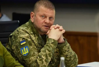 乌军司令承认马林卡失守:和巴赫穆特情况一模一样
