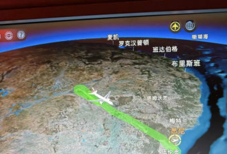 悉尼飞北京航班出现故障返航，亲历者发文！国航最新通报