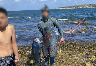 男子在悉尼捕鱼成功后恐遭重罚$11000！