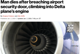 男子冲破机场安全门，爬入达美航班引擎身亡