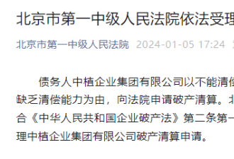 中国知名企业申请破产清算 法院受理