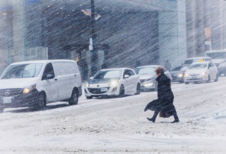 2024年第一股冬季风暴袭击安省！多伦多湿雪+强风 周末10厘米雪暴