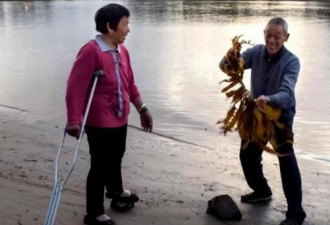 70岁患癌老人被儿子骗出国，从高空跃下