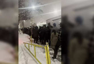 太疯狂！多伦多人雪中大排长龙：等待几个小时，只为见他一面！