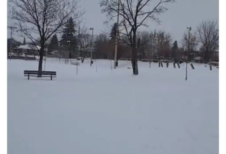 渥太华最具破坏性风暴 20cm雪+冻雨冰雹