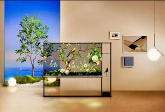 颠覆传统：LG推全球首款透明电视