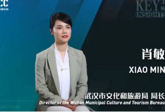 中国最美女局长升官如火箭 网猜“上面有人”