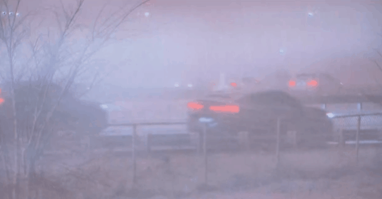 狂风吹雪杀到大多伦多！市中心“雷打雪”！很多人还在路上