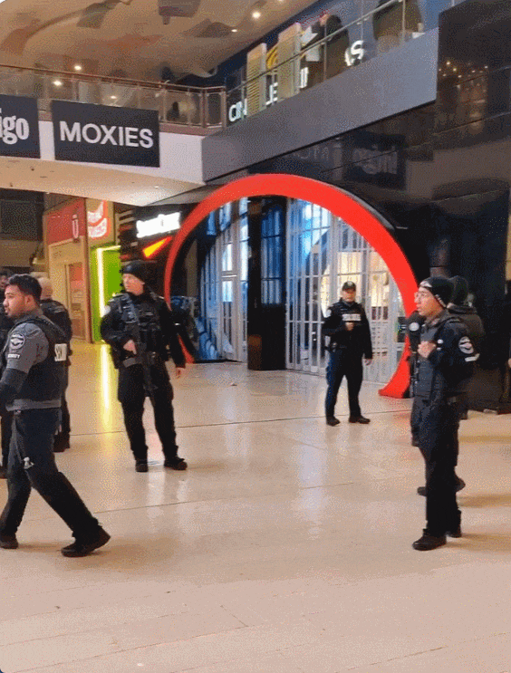 Yorkdale爆发骚乱：大批华人被紧急封锁店内！警察持枪里外包围