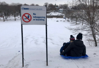 多伦多禁止在市内45座“不安全”小丘玩平底雪橇