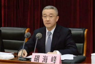 最新官宣：胡海峰为中国民政部副部长