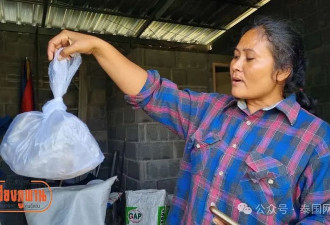“强奸母猪”？泰国变态男子半夜拿米糠走进猪圈引诱强奸待产母猪….