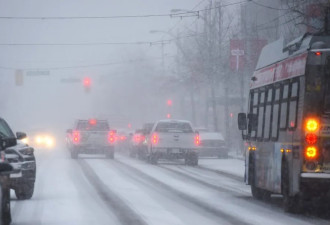 温哥华大雪学校停课航班取消千户停电！