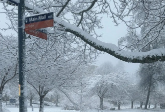 温哥华大雪学校停课航班取消千户停电！