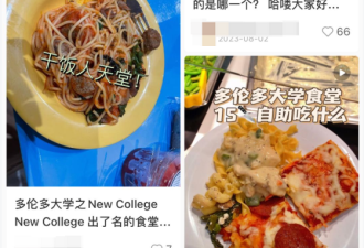 多伦多大学食堂被曝老鼠苍蝇乱窜，学生多次食物中毒