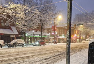 加拿大街头一幕触目惊心：有人在暴雪中冻成&quot;冰雕&quot;