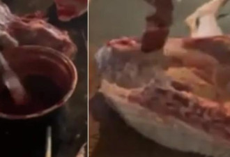 中国连新鲜羊肉都造假 商贩将冷冻肉抹血诈骗