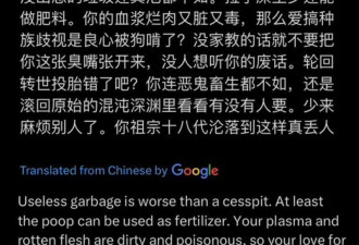 一条中文骂人帖子在外网火了:中文脏话 震撼世界