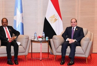 埃及总统：不允许索马里安全受到威胁...