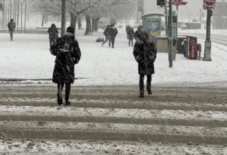 上班族哭了！多伦多本周10cm大雪+降雨轮番轰炸！交通乱套