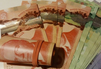 加拿大提出新的“基本收入”法案！实现希望接近于零