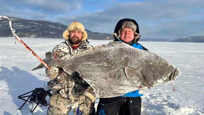 Mathieu Aubin, left, and Rémi Aubin hold up a 109-pound Atlantic halibut that they caught in Quebec's Saguenay-Lac-Saint-Jean region on Sunday, Jan. 21, 2024. (Source: Facebook/Accommodation des 21)