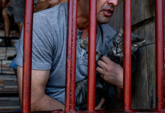 在智利最大的监狱，囚犯们爱上了猫