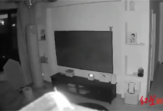 吓哭了：家中监控拍到不明生物 全身发光 6条腿