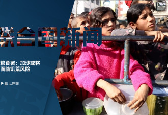 世界粮食计划署：巴勒斯坦人面临严重的饥荒风险