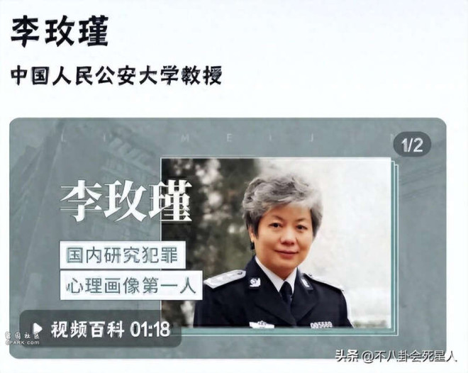 李玫瑾发文道歉因批《繁花》引起网暴| 加西网(温哥华门户网)