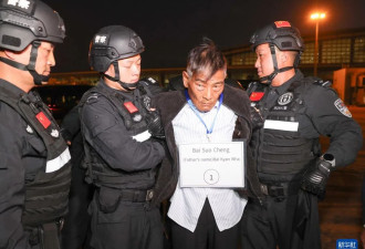 缅北10名重大嫌犯移交现场高清大图！