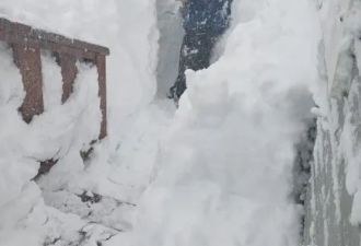 全城瘫痪！加拿大150cm史诗级暴雪！市政府宣布进入"紧急状态"