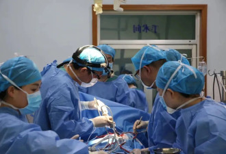 把猪心移植给人，中国专家迈出重要一步