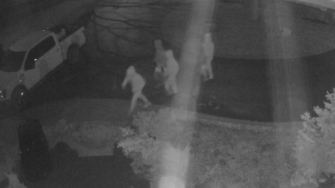 Hamilton police have released video surveillance footage of four suspects wanted in a violent home invasion in Dundas, Ont. 