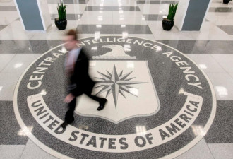 CIA史上最大泄密案 程序员遭重判40年 涉儿童色情照…