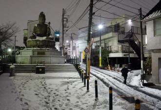 东京警报级大雪 航空、铁路延误 路上“黑冰烧”酿灾