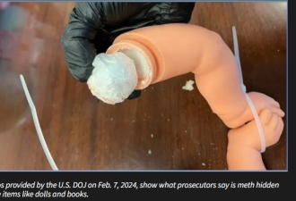 加州5华人贩毒被捕 数百磅冰毒藏进玩偶开酒器