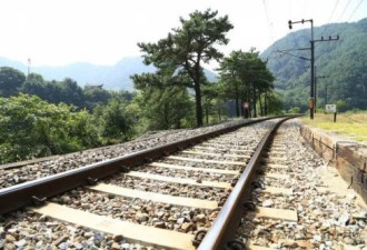 中国铁路为何寸草不生 而印度铁路却春意盎然