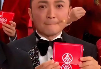 撒贝宁李白带龙凤胎回武汉过年 俩孩子软萌.....