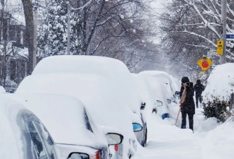 加拿大迎50cm暴雪！多伦多皮尔逊机场紧急通知：大批航班取消