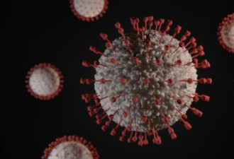 中国患者同时感染流感禽流感身亡 世卫调查
