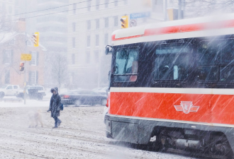 气温骤降！多伦多本月第一场大雪+强风冲击 交通大乱恐停电
