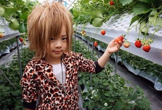 被亲妈培养成轰动日本的4岁“牛郎”，11年后竟是年级第一的学霸